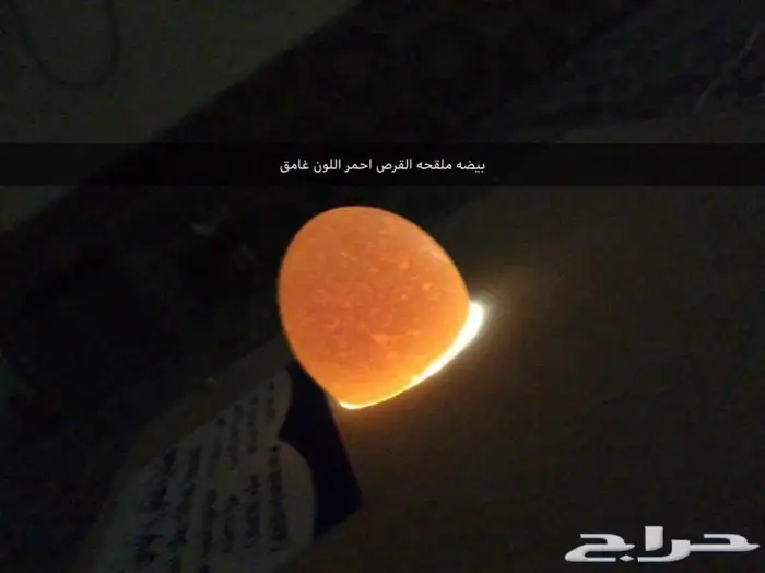 فقاسه 6