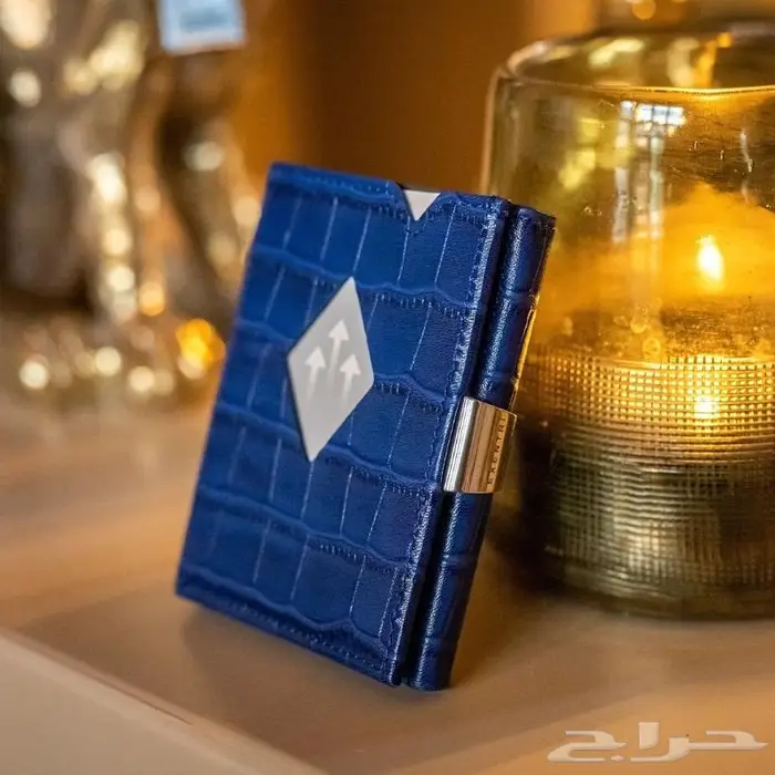 محفظة اكسنتري المتعددة Exentri 5