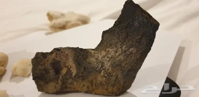 حجر غير معروف بآثار نبات قديمة جدا 0