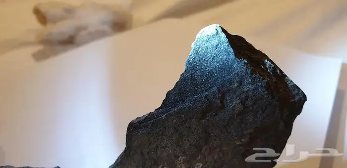 حجر غير معروف بآثار نبات قديمة جدا 1