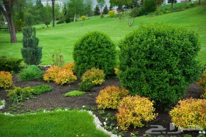 تنسيق الحدائق 3