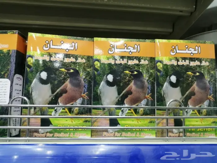 طيور الحب للبيع نوادر 28