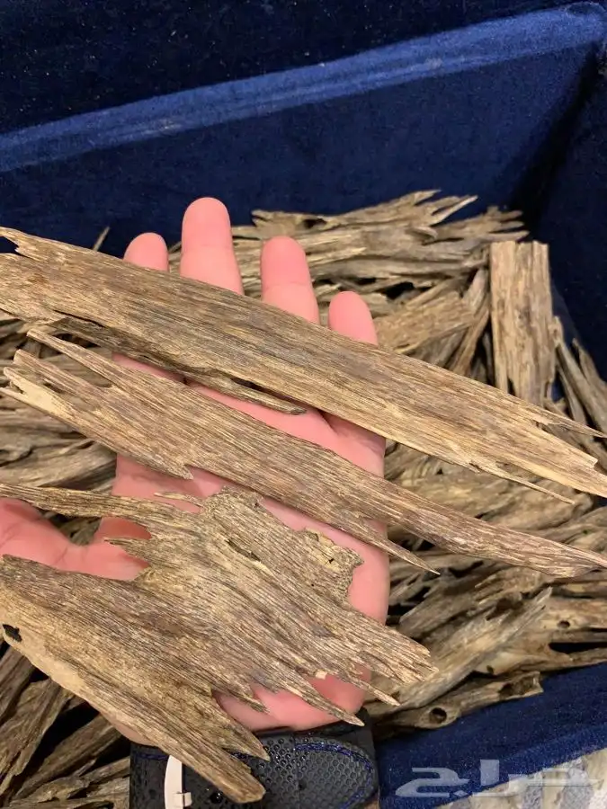 عود هندي سوبر وسوبر مرتفع 0