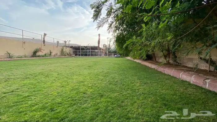 استراحه للايجار اليومي 7