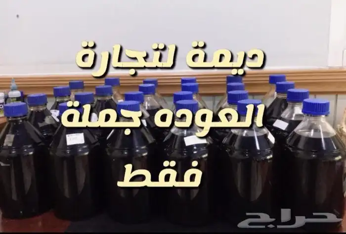عود مروكي ملكي مبيعات جملة 3