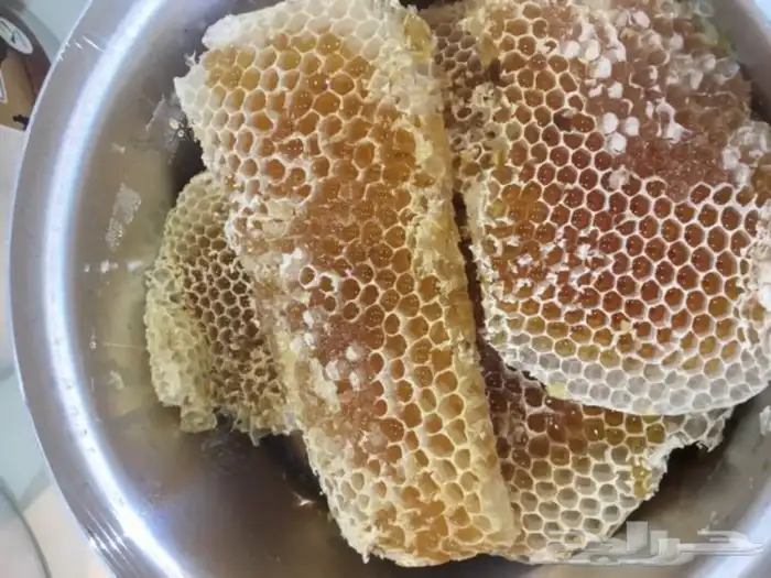 عسل السدره الجبلي وعسل سمر وعسل الخاص وعسل الطلحه 1