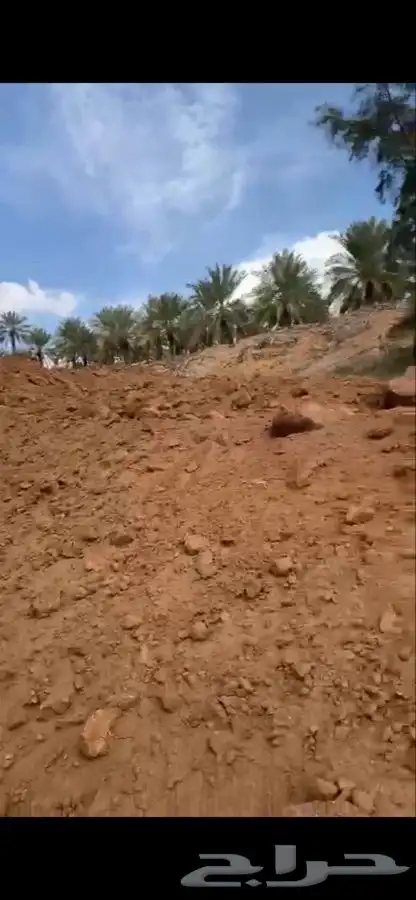 للبيع طين زراعي وكذلك طين بناء 4