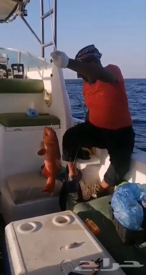 قارب للايجار رحلات صيد جدة منى يخت 8