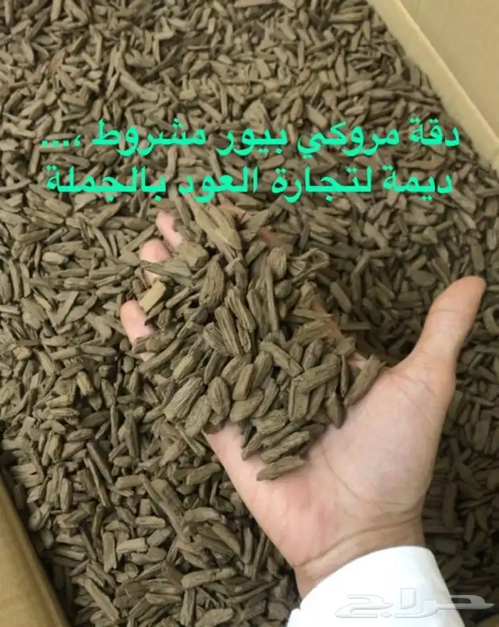 دقة كلمنتان فاخر جملة فقط  6