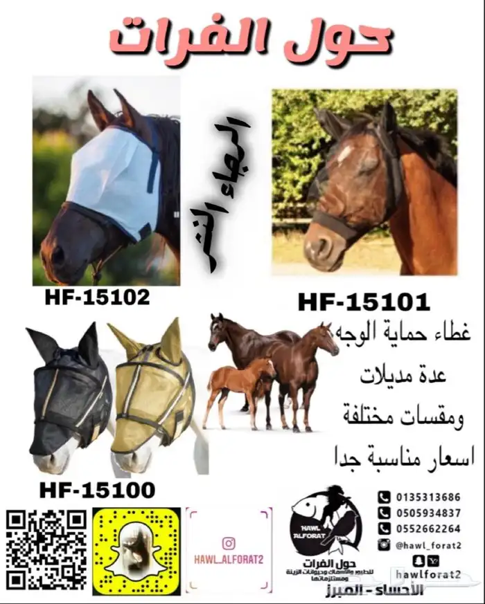 سرج خيل سرج عربي 5