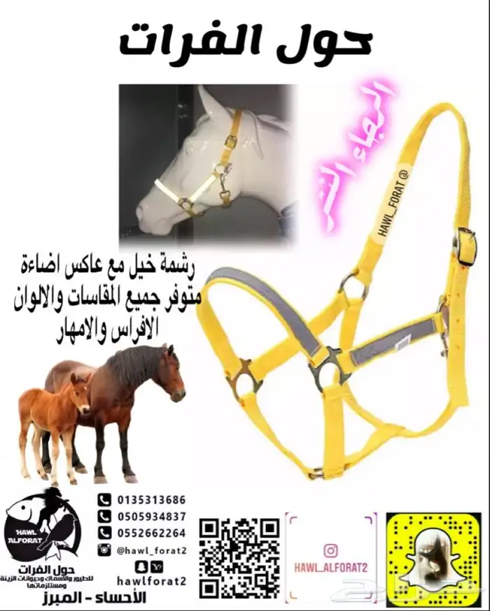 سرج خيل سرج عربي 6