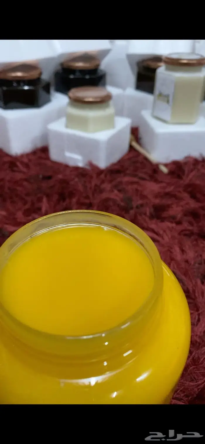 عسل السدرة الجنوبي وغذاء الملكات 1