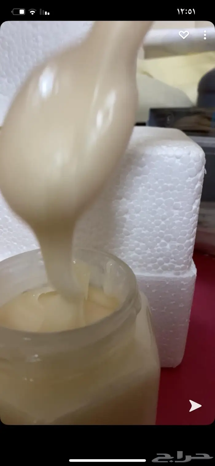 عسل السدرة الجنوبي وغذاء الملكات 3
