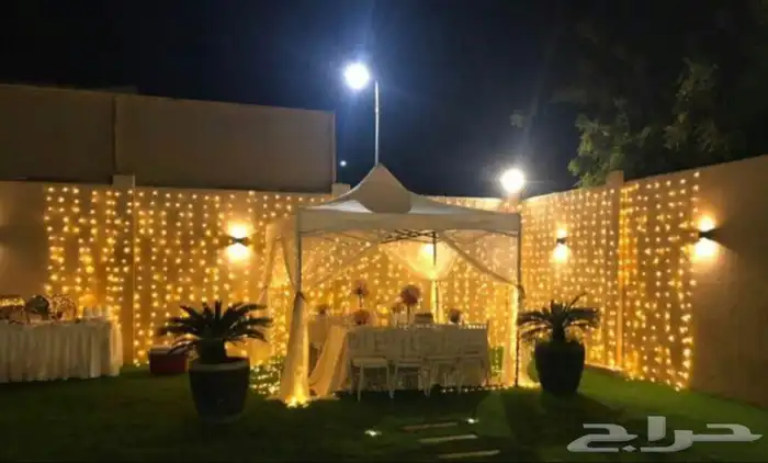 الشبكة المضيئة والستارة LED 15