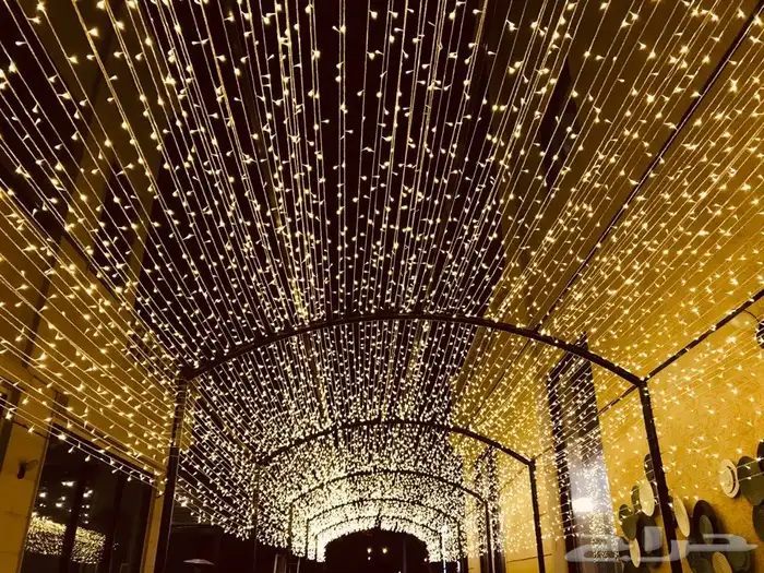 الشبكة المضيئة والستارة LED 1