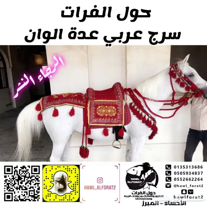 سرج خيل سرج عربي 1