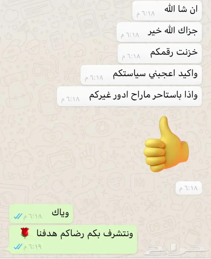 حصان وسيسي للإيجار اليومي 14