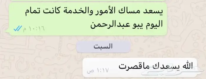 حصان وسيسي للإيجار اليومي 15