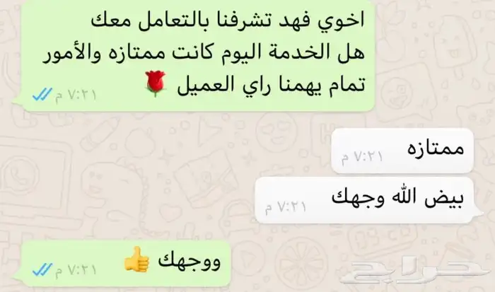 حصان وسيسي للإيجار اليومي 13