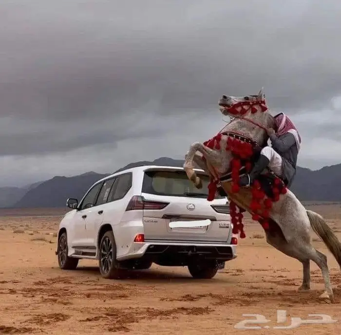 قطع غيار لكزس الشرقية الدمام 0