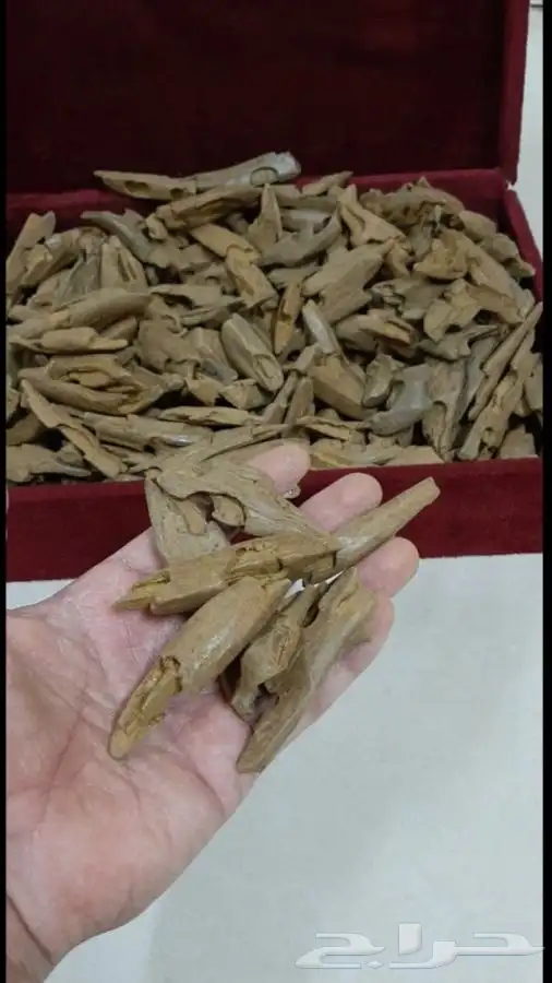 عود بخور ملكي ربع كيلو ب 522 ريال بدلا من 650 ريال 4