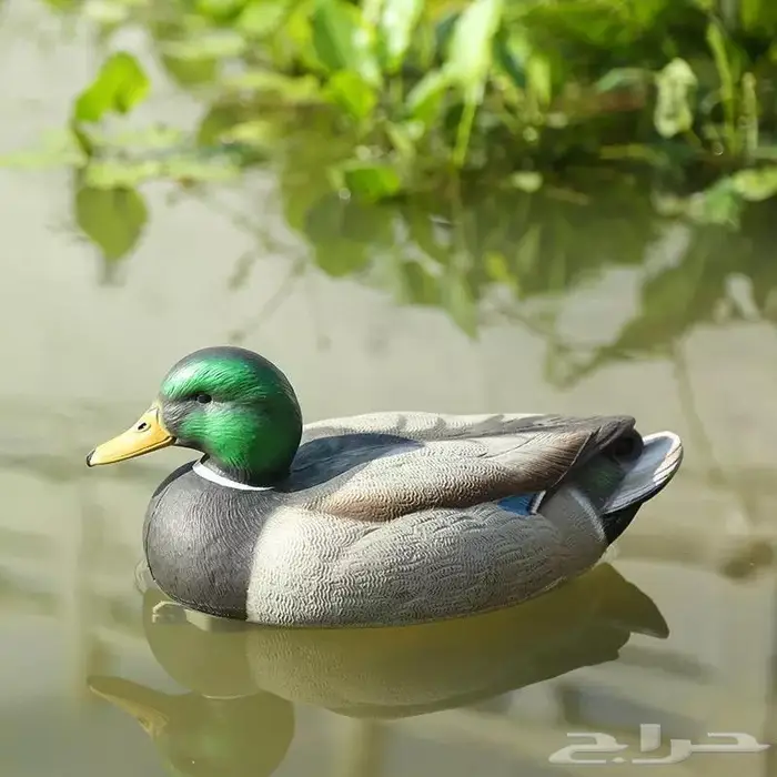 مجسمات جمالية بط للحدائق والمنتزهات 14