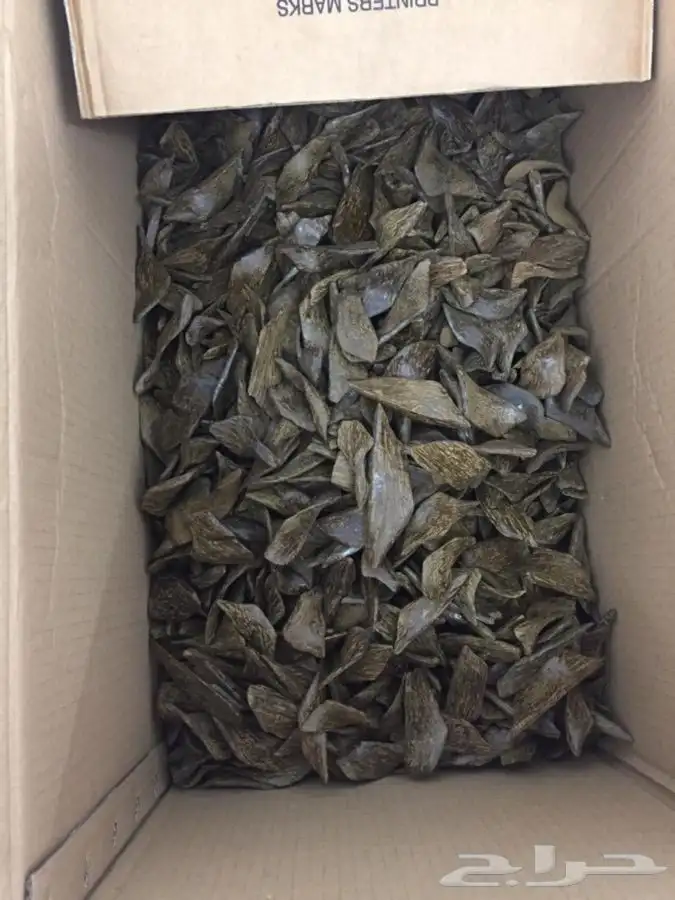 دقة كلمنتان سوبر جملة فقط  7