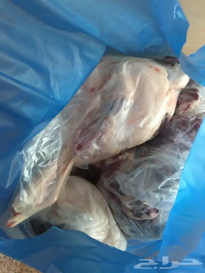 ذبايح حريه وسواكني وتيوس مع خدمة الذبح والتوصيل 9