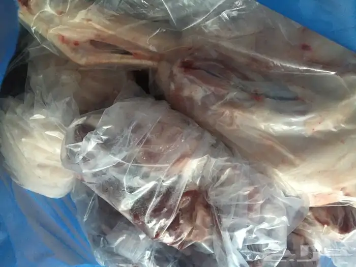 ذبايح حريه وسواكني وتيوس مع خدمة الذبح والتوصيل 6
