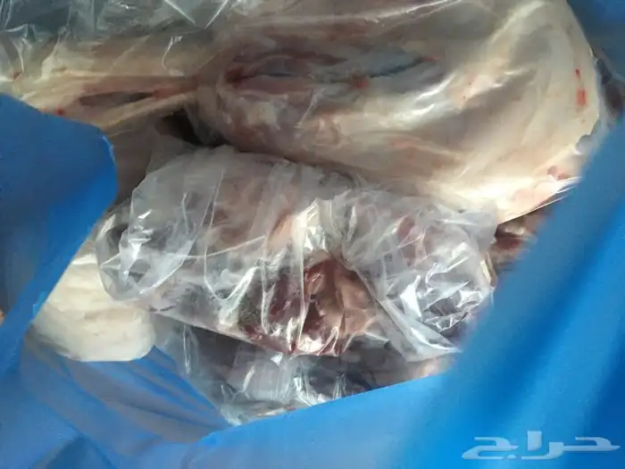 ذبايح حريه وسواكني وتيوس مع خدمة الذبح والتوصيل 8