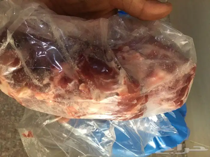 ذبايح حريه وسواكني وتيوس مع خدمة الذبح والتوصيل 7
