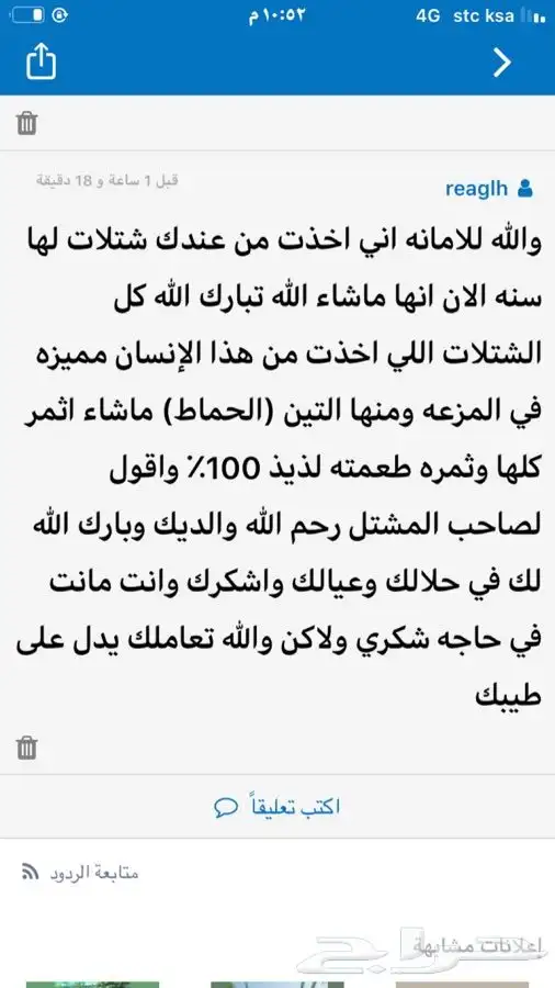شتلات بلدي وخارجي منتجه 24