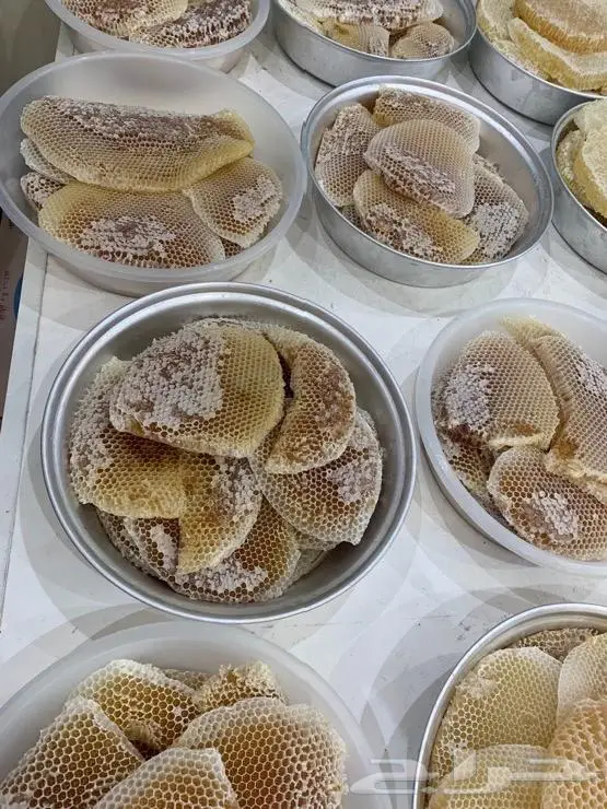 عسل السدره الجبلي وعسل سمر وعسل خاص وعسل طلحه 9