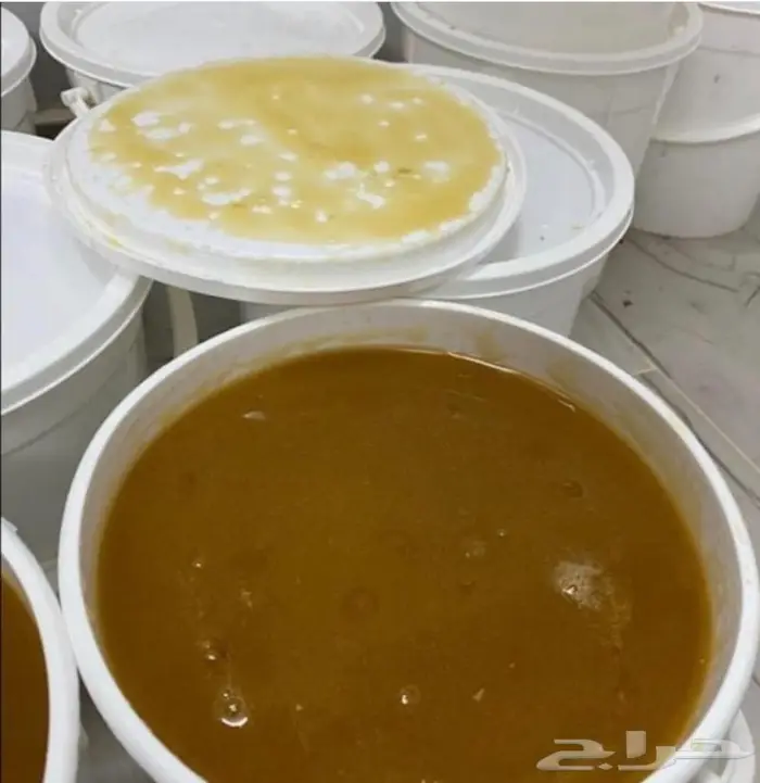 عسل السدره الجبلي وعسل سمر وعسل خاص وعسل طلحه 8