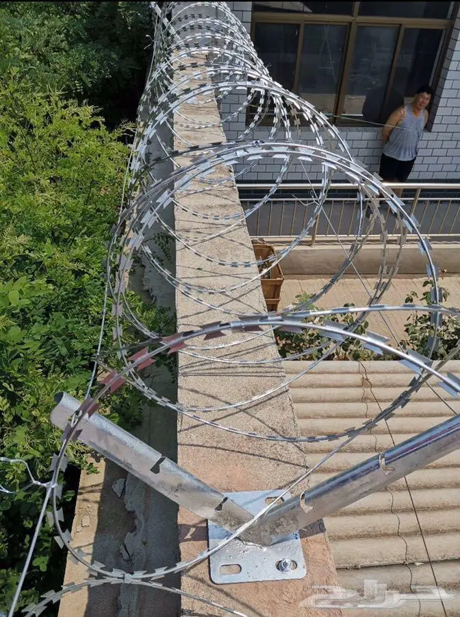 أسلاك شائكة حلزونية كونسرتينا Galvanised Razor wire 7