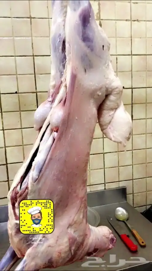 مشويات شامية شواء خارجي 0