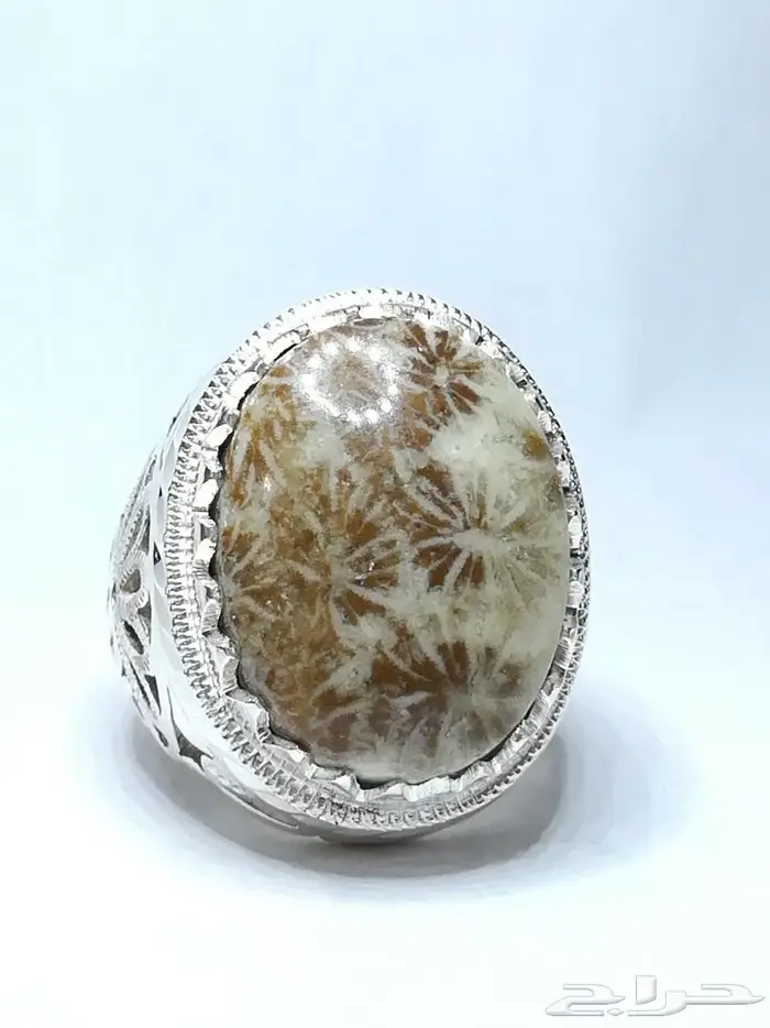 خاتم مرجان احفوري طبيعي راقي وجميل المنظر 3