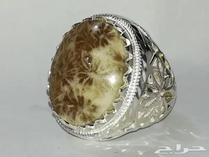 خاتم مرجان احفوري طبيعي راقي وجميل المنظر 7