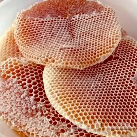 عسل السدر الجبلي وعسل السمر والطلحه والسلم 1