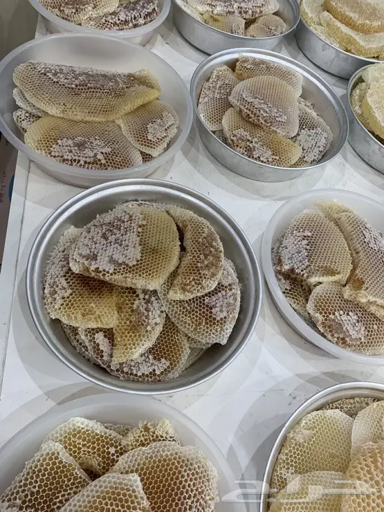 عسل السدر الجبلي وعسل السمر والطلحه والسلم 4