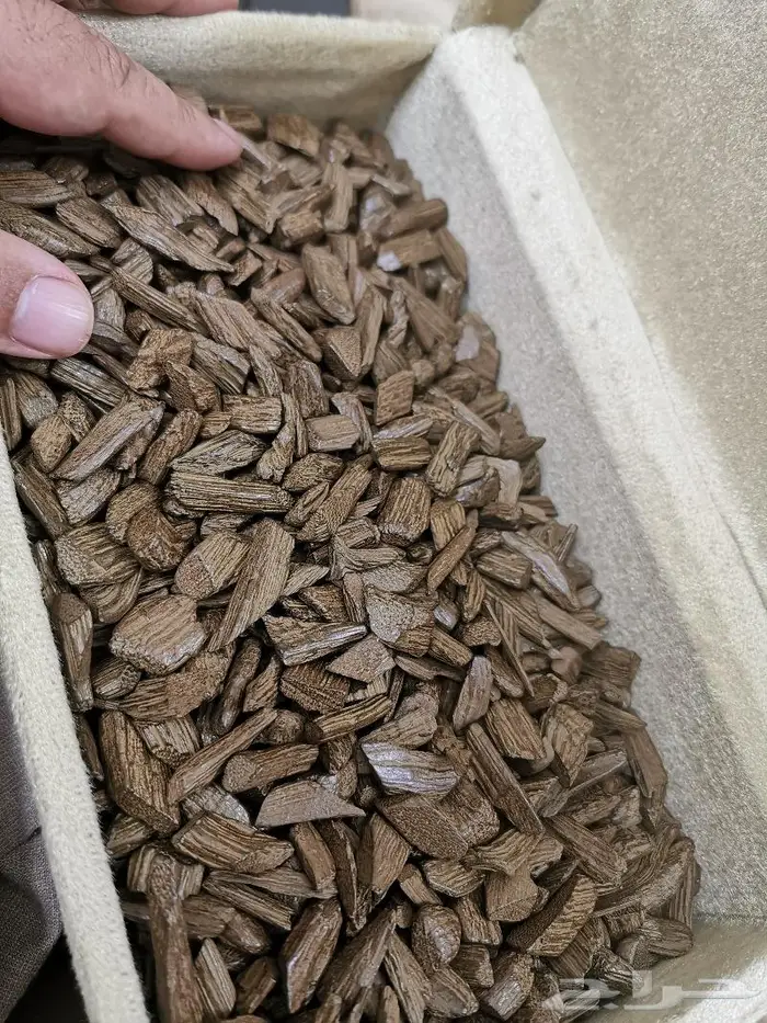 موروكي طبيعي محسن دقة 0