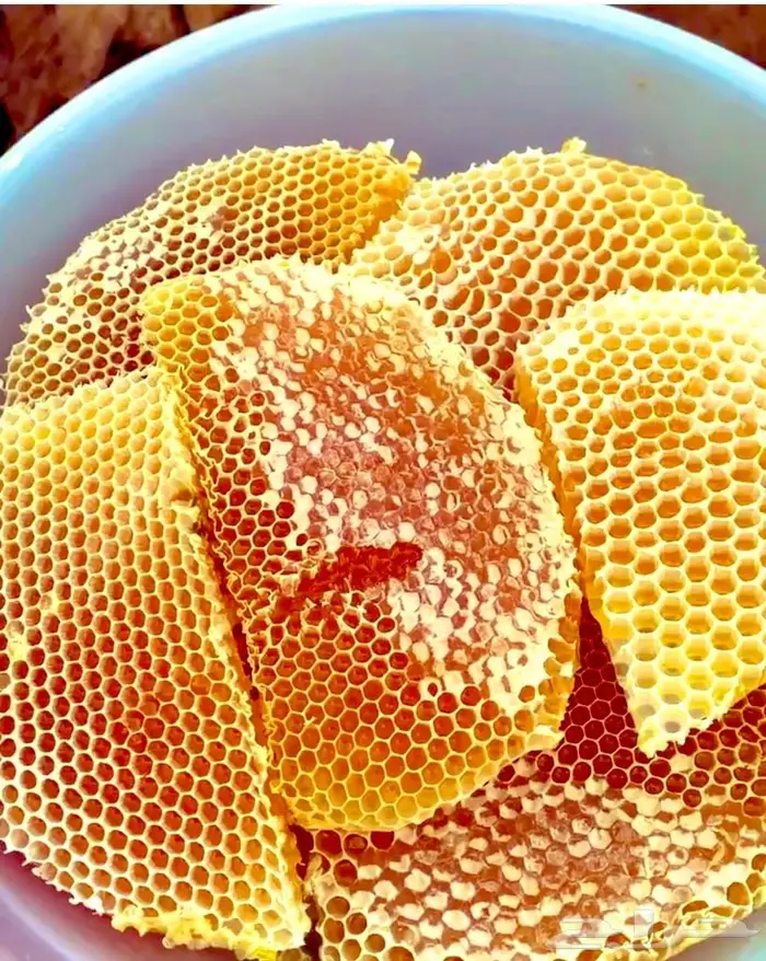 عسل السدر الجبلي وعسل السمر والطلحه والسلم 0