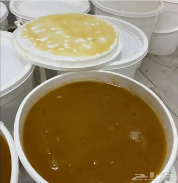عسل السدر الجبلي وعسل السمر والطلحه والسلم 7