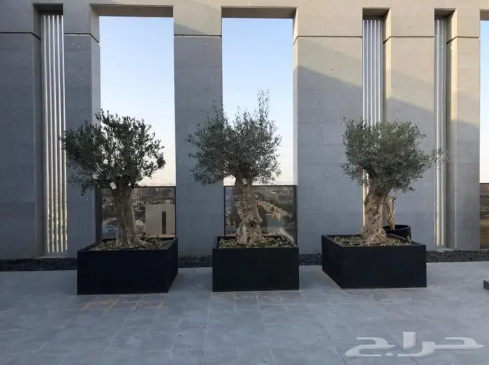 متخصصين باعمال الفايبرجلاس..شلالات احواض زرع 21