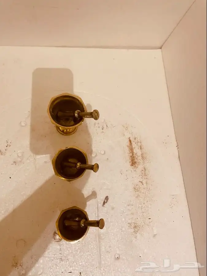 نجور حورانية صغيرة 1