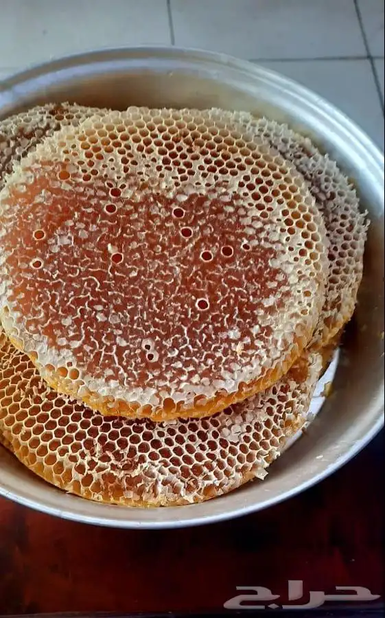 عسل بلدي مضمون بالذمه والامانه 10