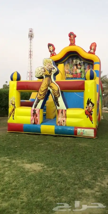 اجار نطيطات 11