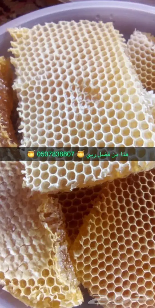 عسل السدرة وعسل السمرة بلدي مفحوص  11