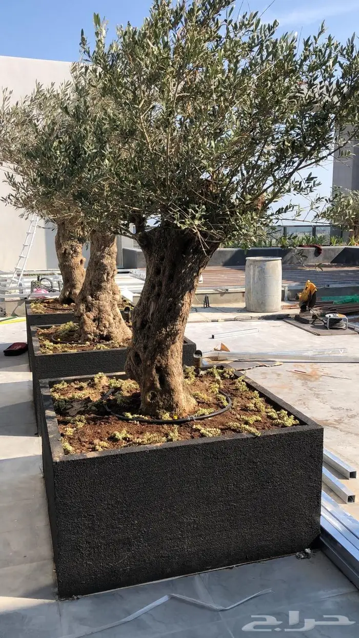 احواض زراعه فايبرجلاس 14