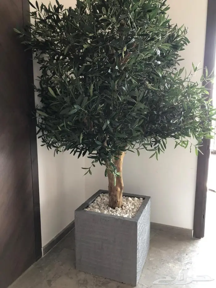 احواض زراعه فايبرجلاس 13
